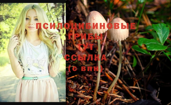 амф Абинск
