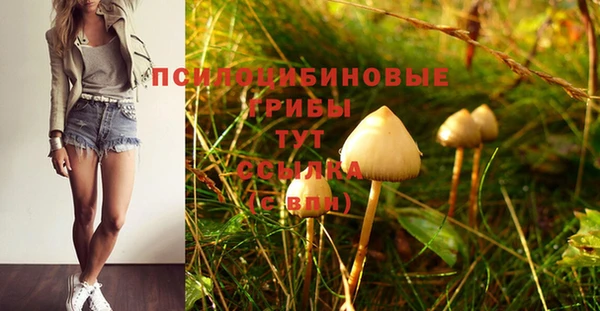 стафф Абдулино