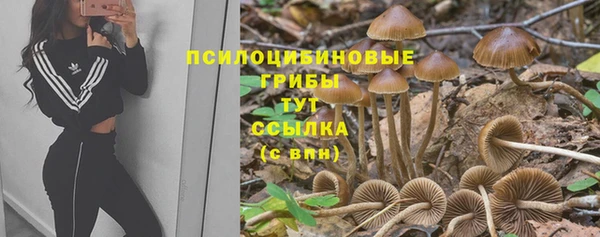 стафф Абдулино