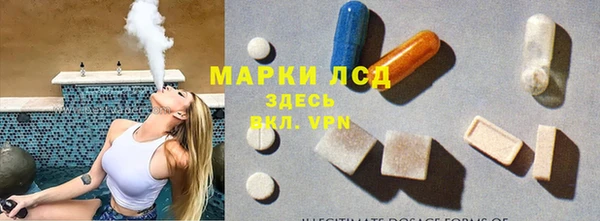индика Тобольск