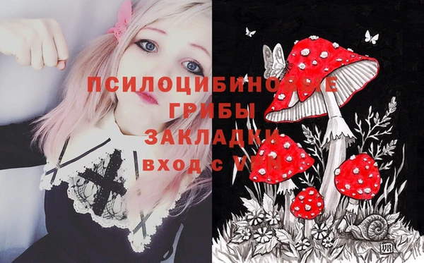 амф Абинск