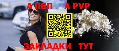 хмурый Тара
