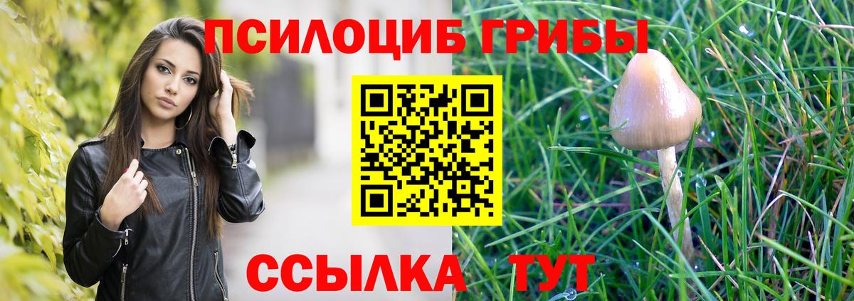 Галлюциногенные грибы Psilocybine cubensis  Вход с VPN  Усть-Лабинск 